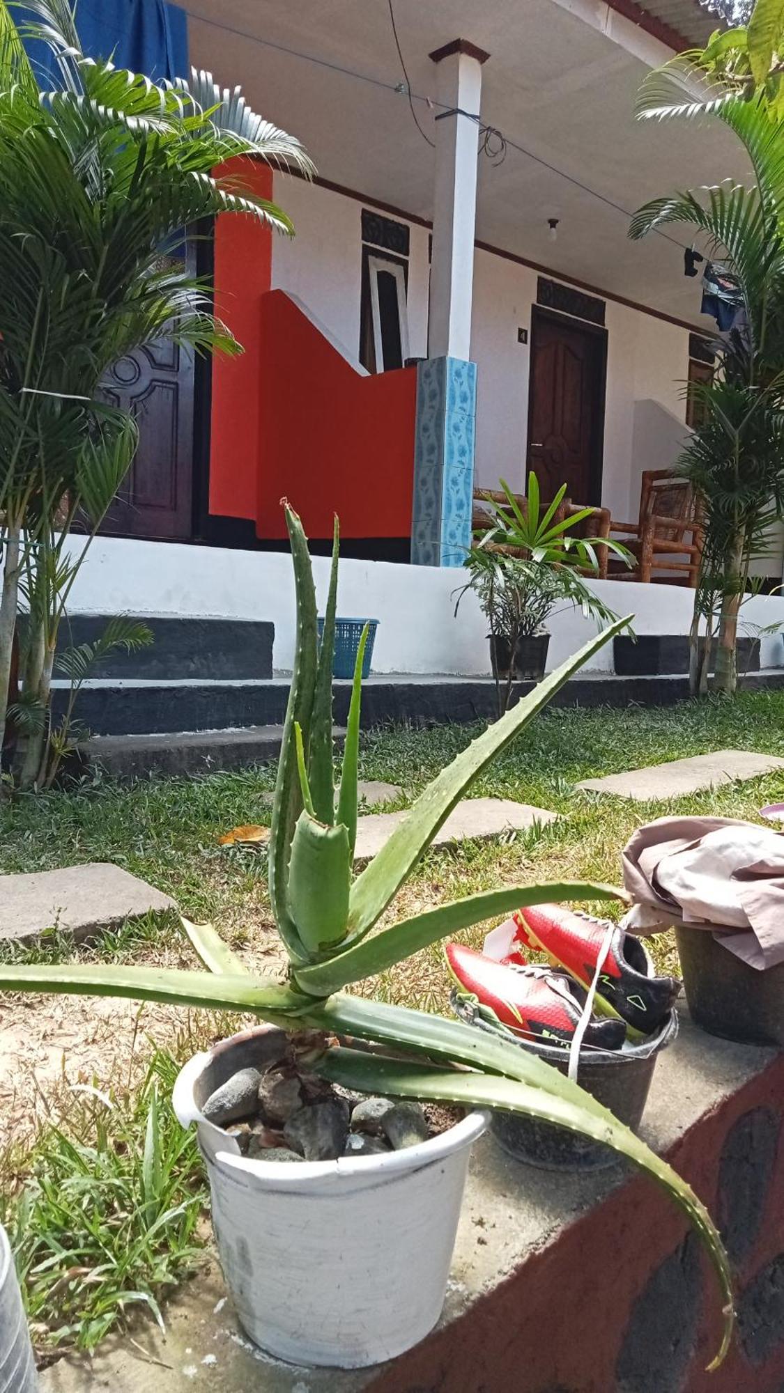 Roy Homestay Kuta Kuta  Bagian luar foto